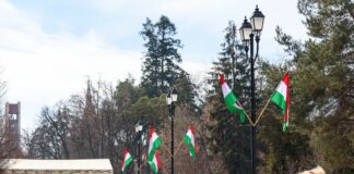 Magyar zászlók Sepsiszentgyörgyön